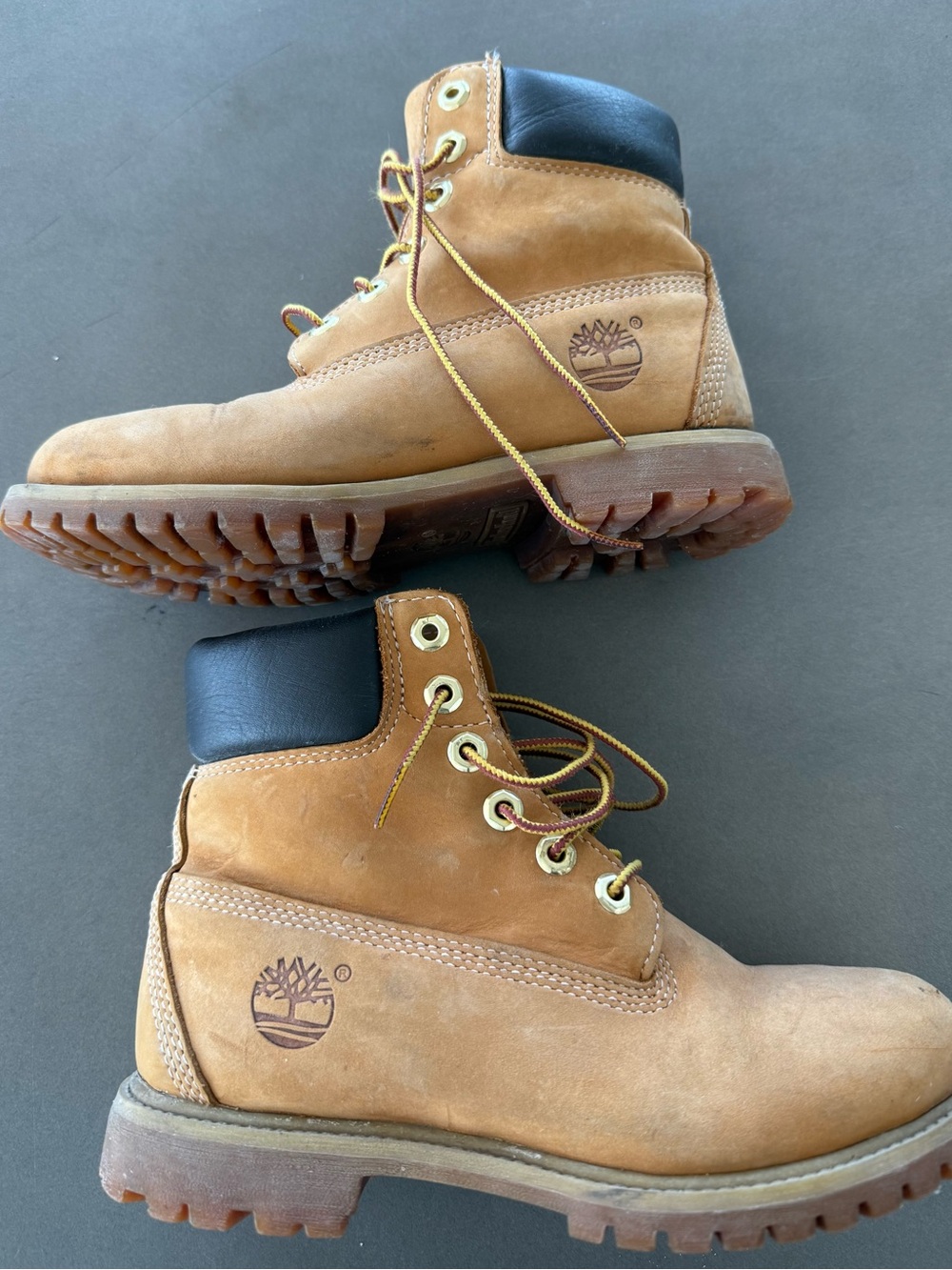 Timberland Kids Tan Nubuck Lace-Up Boots with Black Collar